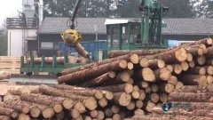 體育木地板的力學性質(zhì)